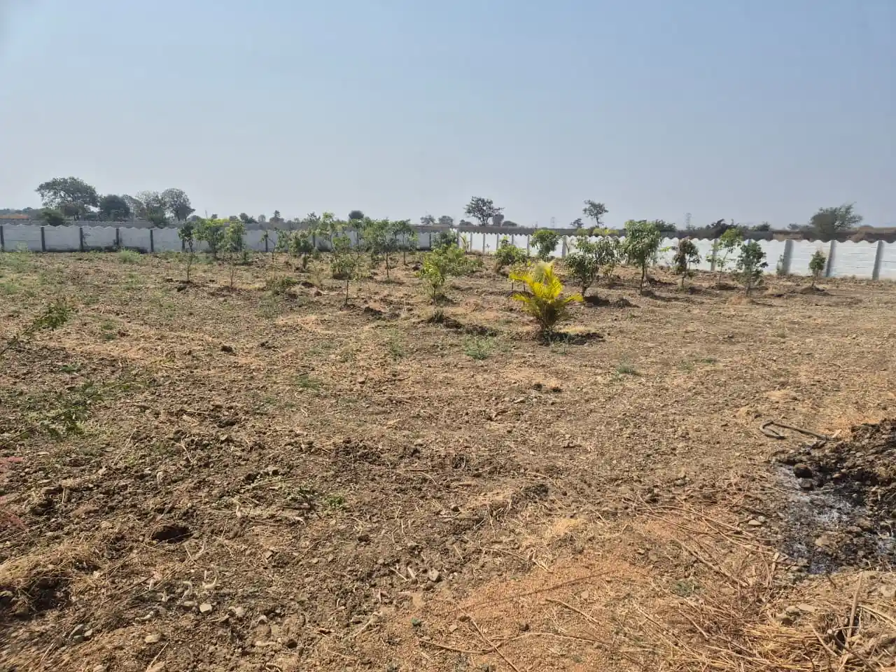 20 guntas Land in Damergidda, Ranga Reddy - photo 1