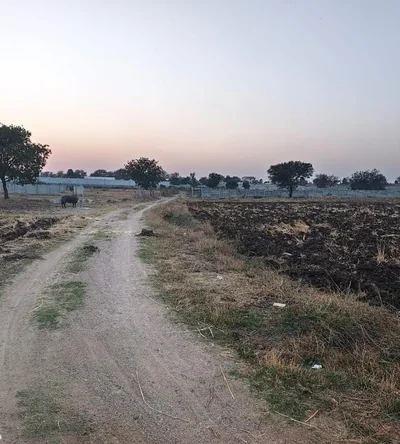 6 guntas Land in Damergidda, Ranga Reddy - photo 3