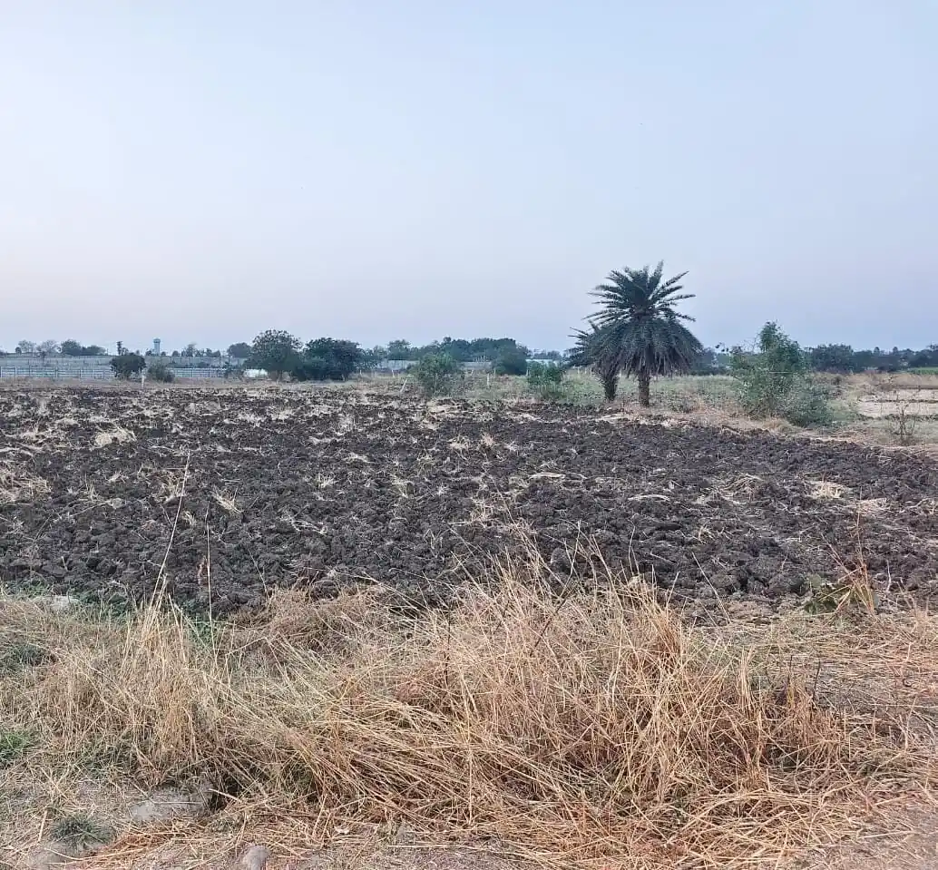 6 guntas Land in Damergidda, Ranga Reddy - photo 1