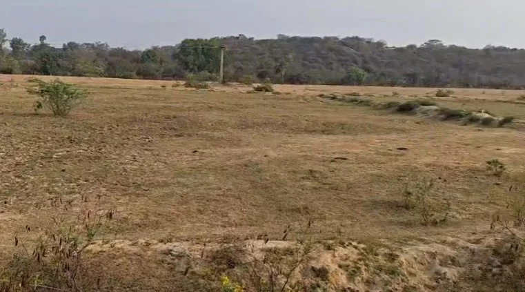 11 acres 10 guntas Land in Ainapur, Vikarabad - photo 1
