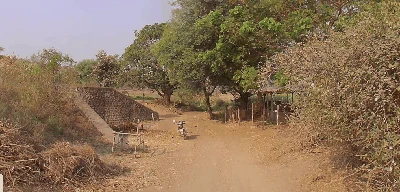 125.03 Acres Land in Khairgaon (Ka), Yavatmal - photo 5
