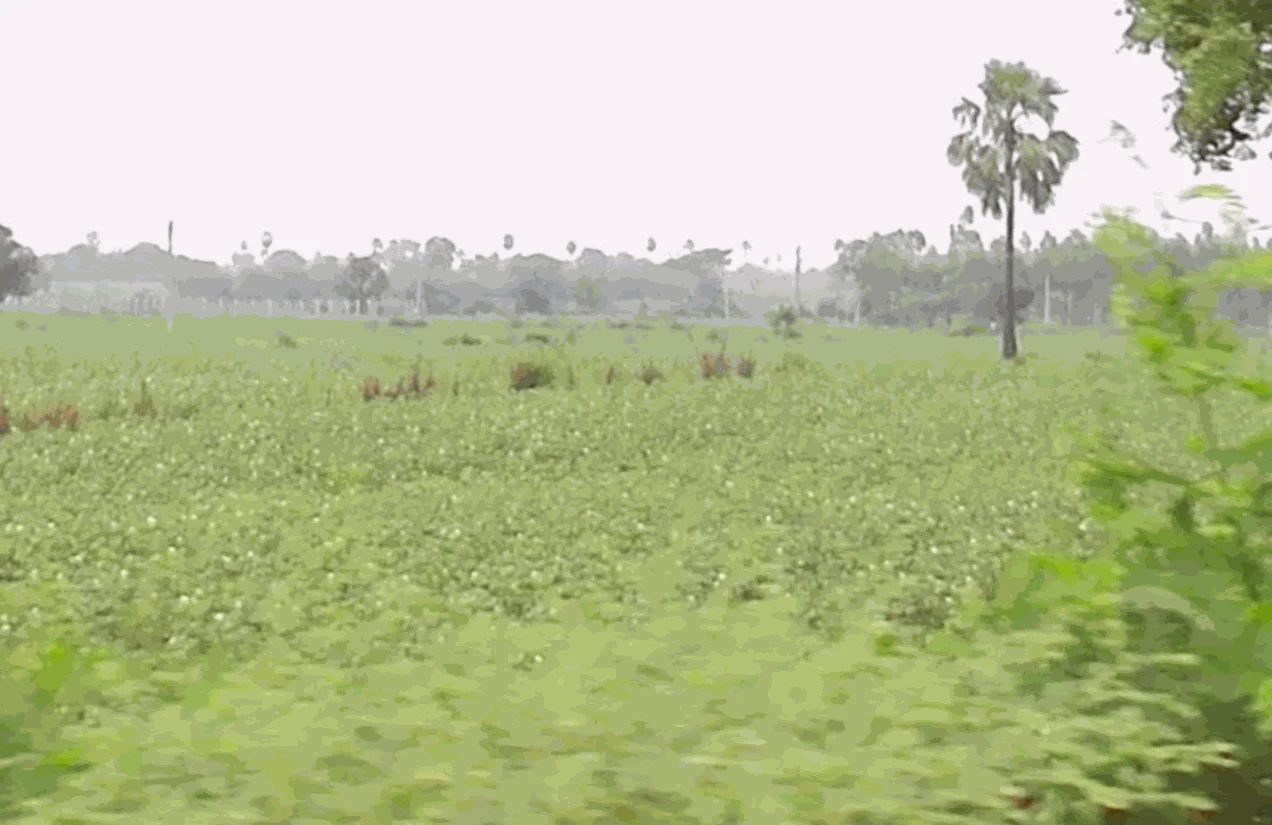 4 acres Land in Cherial, Siddipet - photo 1
