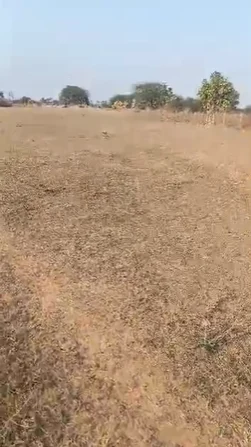 1 acre 29 guntas Land in Kistampet, Siddipet - photo 1