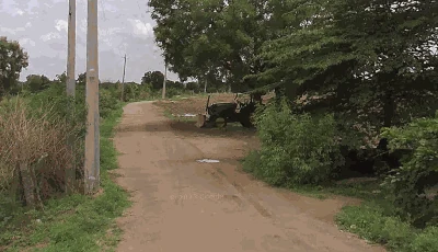 2 acres 11 guntas Land in Kummera, Ranga Reddy - photo 4