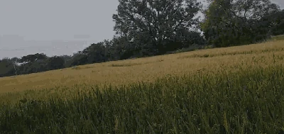 4 acres Land in Peddemul, Vikarabad - photo 2