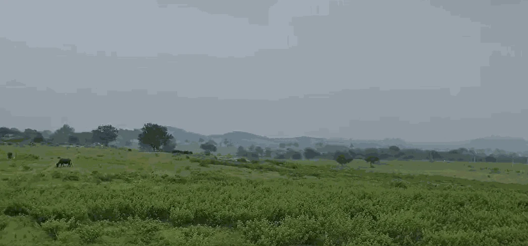 8 acres Land in Nagapuri, Siddipet - photo 1
