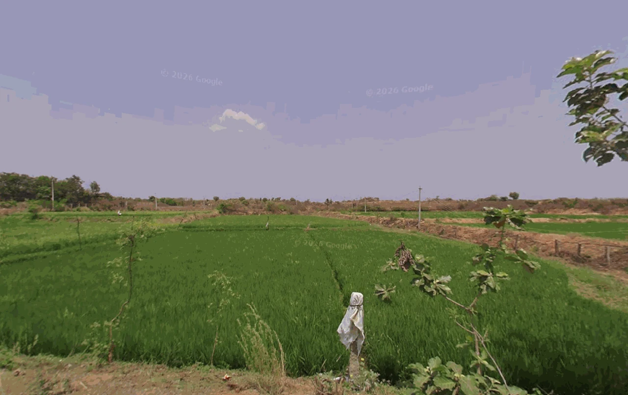 1 acre 0.5 gunta Land in Vardarajpur, Siddipet - photo 1