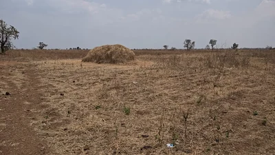 7 acres Land in Madanpalle, Vikarabad - photo 2