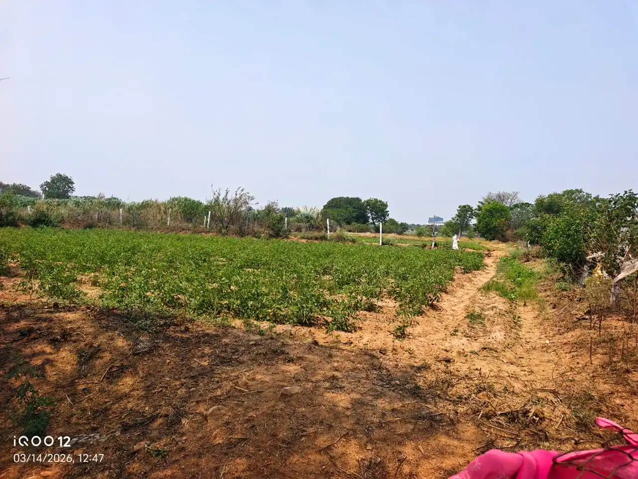 10 guntas Land in Kanduwada, Ranga Reddy - photo 1