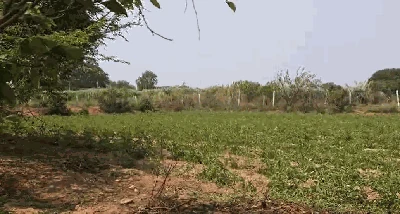 10 guntas Land in Kanduwada, Ranga Reddy - photo 2