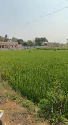 32 guntas Land in Velkatur, Siddipet - photo 1