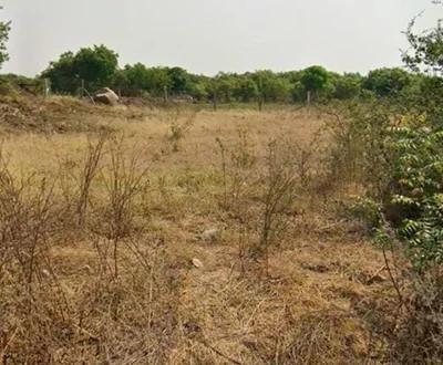 1 acre Land in Kammeta, Ranga Reddy - photo 2