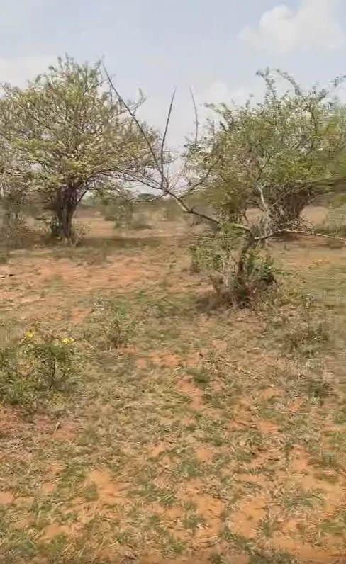 1 acre 28 guntas Land in Gudoor, Ranga Reddy - photo 1