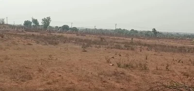11 acres Land in Damarakunta, Siddipet - photo 2