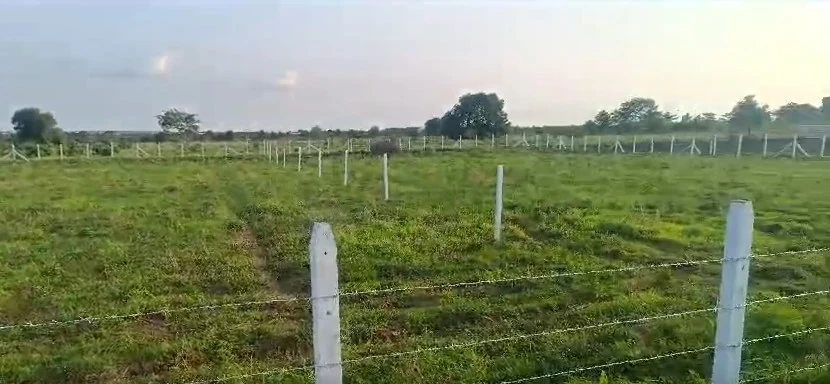 26 guntas Land in Masaniguda, Ranga Reddy - photo 1