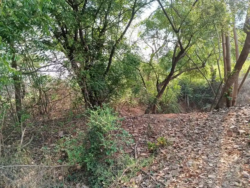 5 acres Land in Thotapalle, Siddipet - photo 1