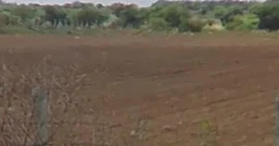 31 guntas Land in Kummera, Ranga Reddy - photo 2
