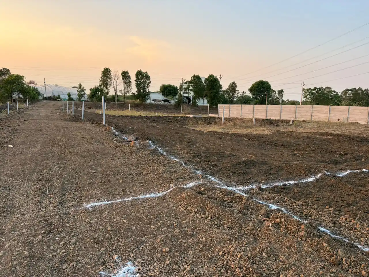 6 guntas Land in Pamena, Ranga Reddy - photo 1