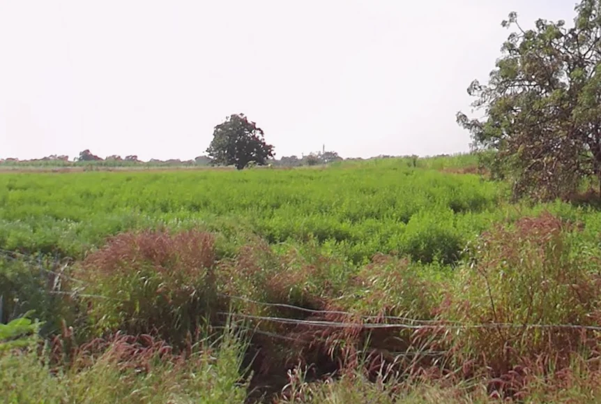 28 acres 20 guntas Land in Parvathapur, Sangareddy - photo 1