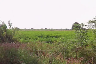 28 acres 20 guntas Land in Parvathapur, Sangareddy - photo 2