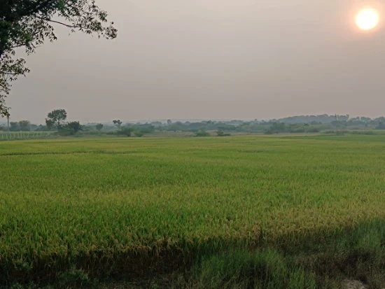 4 acres 23 guntas Land in Jakkepalle, Vikarabad - photo 1
