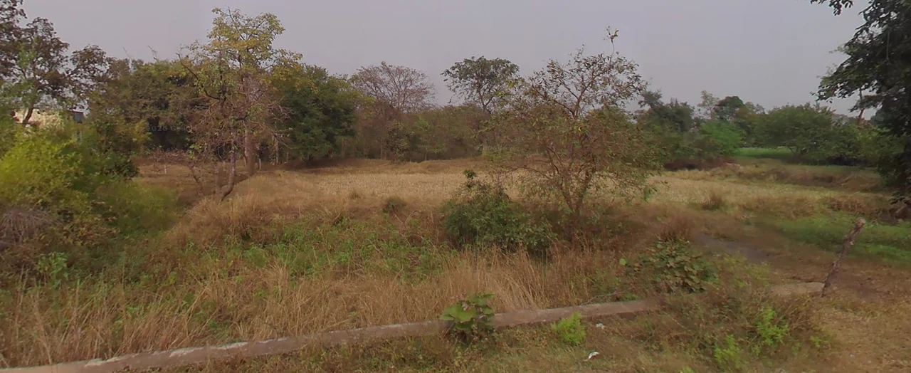 135 Acres Land in Kosa, Janjgir-Champa - photo 1