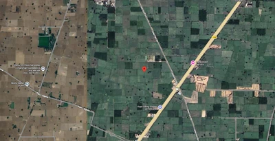 2 Acres Land in Jawa(183), Charki Dadri - photo 2
