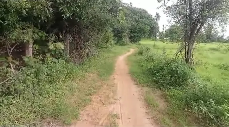 1 acre Land in Palepalle, Vikarabad - photo 1