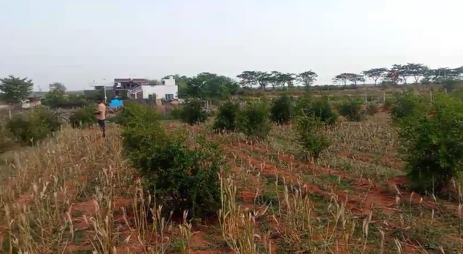 1 acre Land in Damarakunta, Siddipet - photo 1