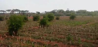 1 acre Land in Damarakunta, Siddipet - photo 2