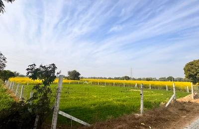 0.26 Acres Land in Nang Tihari(164), Mahendragarh - photo 2