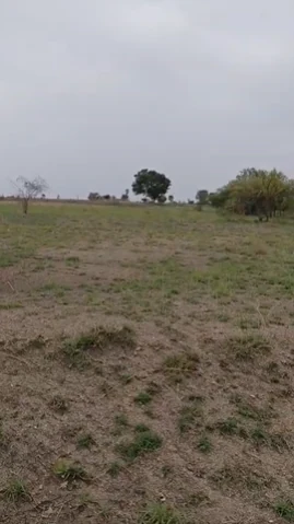 1 acre Land in Yenkepalle, Ranga Reddy - photo 1