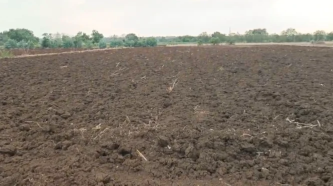 1 acre 10 guntas Land in Gunjetti, Sangareddy - photo 1