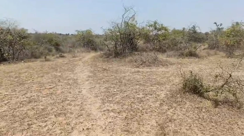 20 acres Land in Marmamula, Siddipet - photo 1