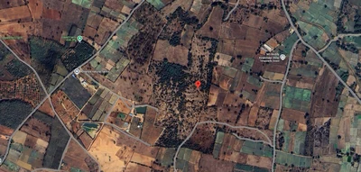 20 acres Land in Marmamula, Siddipet - photo 3