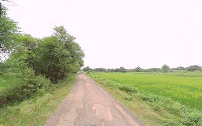 3 acres 22 guntas Land in Marmamula, Siddipet - photo 5