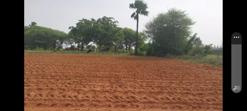 3 acres 22 guntas Land in Marmamula, Siddipet - photo 1