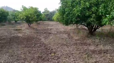 15 acres 30 guntas Land in Dappur, Sangareddy - photo 3