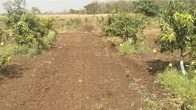 4 acres 19 guntas Land in Godgar Palle, Sangareddy - photo 2