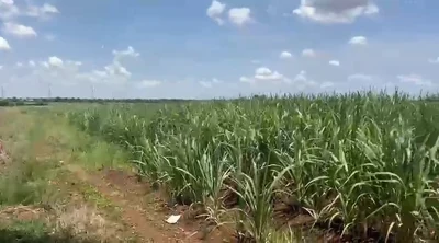 1 acre 20 guntas Land in Hadnur, Sangareddy - photo 2