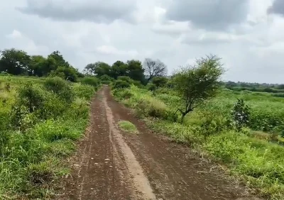 20 guntas Land in Chiltampalle, Vikarabad - photo 4