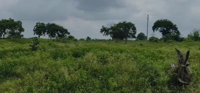 20 guntas Land in Chiltampalle, Vikarabad - photo 1