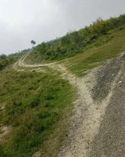 29 acres Land in Nalajanam Padu, Prakasam - photo 2
