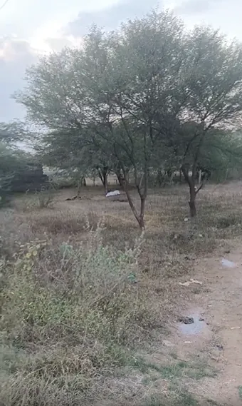 29.8 guntas Land in Sirigiripur, Ranga Reddy - photo 2
