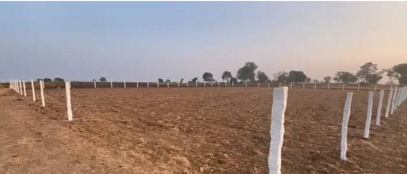 25 guntas Land in Chanvelli, Ranga Reddy - photo 1