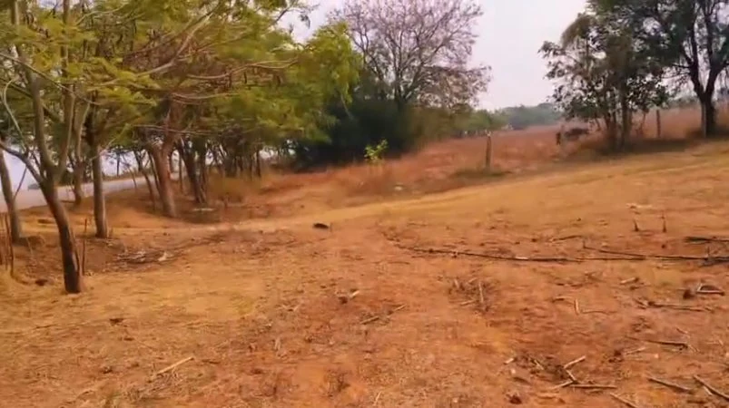 10 acres Land in Erravalle, Siddipet - photo 1