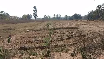 1 acre 26 guntas Land in Gadsingapur, Vikarabad - photo 3