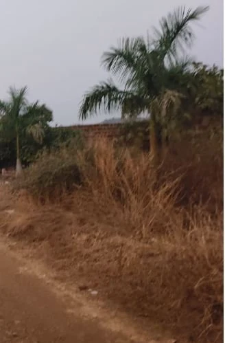 1 acre Land in Dappur, Sangareddy - photo 1