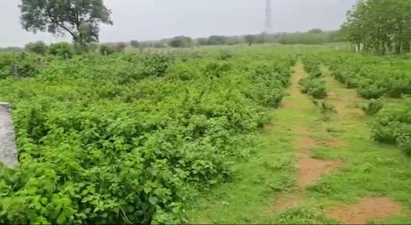 4 acres 20 guntas Land in Rampur, Siddipet - photo 1