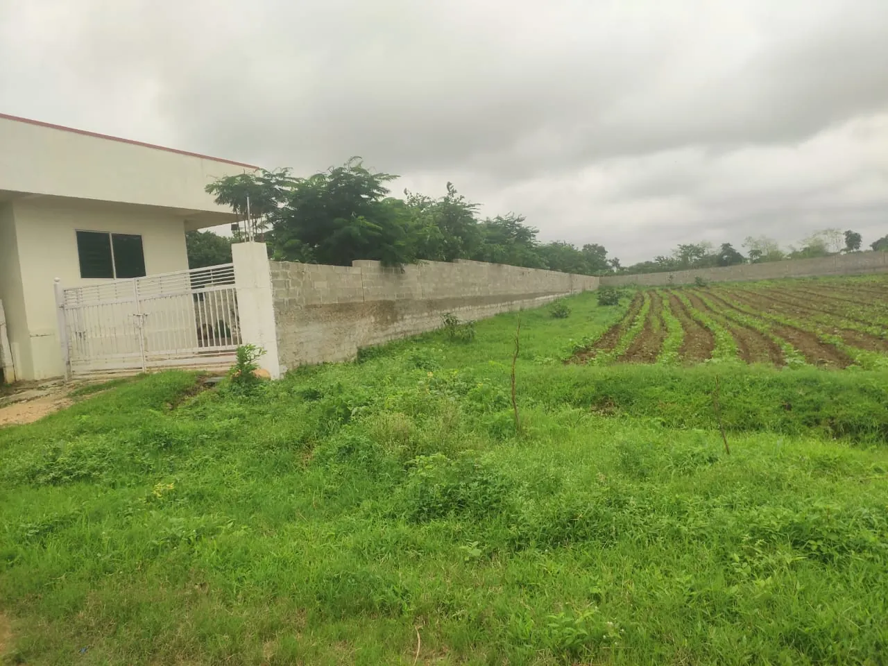 10 guntas Land in Kukinda, Vikarabad - photo 1